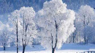 Snow 4k Wallpaper
