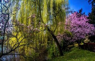 Spring Wallpaper For Desktop Best Cars Res
