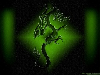 Pin Dragon Logo Wallpaper Background