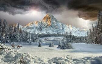 Rockies Vally Winter Landscape Forest Cloud Mountain Deer Wallpaper