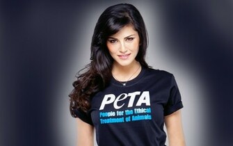 Sunny Leone Peta Desktop Wallpaper New HD