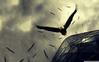 Ultra HD Fly Wallpaper Ed79euz 4usky