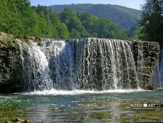 Forest Waterfall Wallpaper