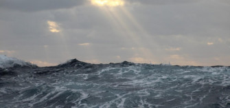 Gas Passing Plankton Illumine Another Piece Of The Carbon Cycle