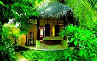 House Wallpaper Image