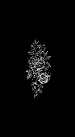 Black Rose Phone Wallpaper On