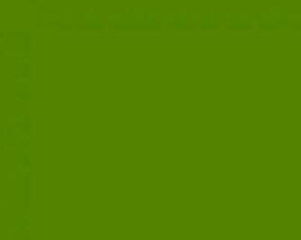 Resolution Avocado Solid Color Background And