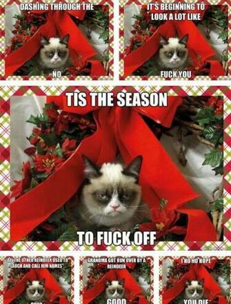 Grumpy Cat S Christmas Meme Compilation By Xxspiritwolf2000xx On