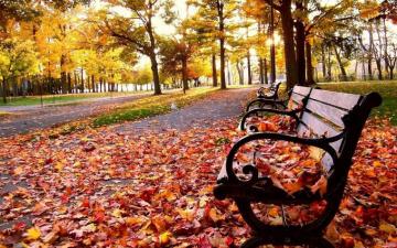 Best Fall Wallpaper For Your Desktop