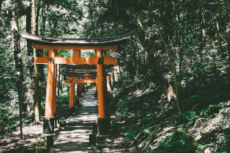 Torii Gate Wallpaper