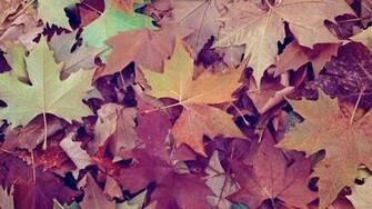 Wallpaper Rollup Thanksgiving Jacob Abshire