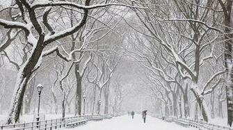 Beautiful Snowfall Season Wallpaper Warm Breath Feelings