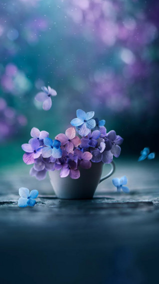 Flower Phone Wallpaper