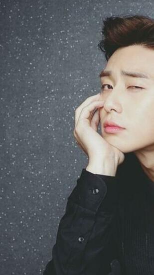 Park Seo Joon Jun Dan