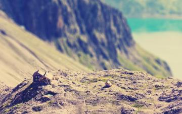 HD Tilt Shift Photography Wallpaper