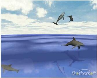 3d Desktop Wallpaper Dolphins In HD