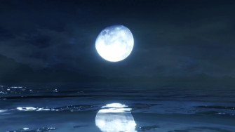 Water Live Wallpaper Animated