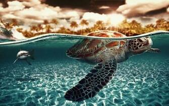 Sea Turtles Wallpaper