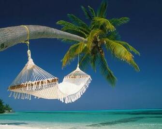 Paradise Wallpaper Art Print Poster Tropical