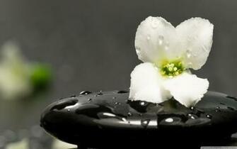 Zen Wallpaper HD Background