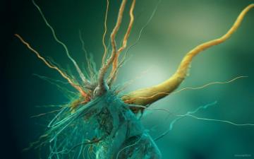 Bacteria Wallpaper On