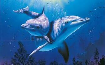 3d Dolphins Cartoon Wallpaper Picture Art Inspiration
