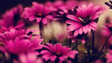 Fb Wallpaper Group Teahub Io