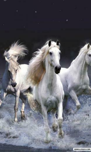 Horse Live Wallpaper Samsung Galaxy S3 App