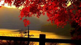 Autumn Wallpaper