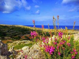 The Maltese Countryside Wallpaper