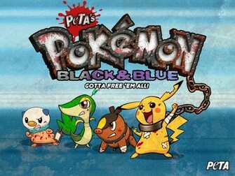 Pok Mon Black And White A Parody Game Bonus Wallpaper Peta Org