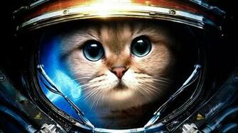 Cat From Space Animal Wallpaper HD For iPad