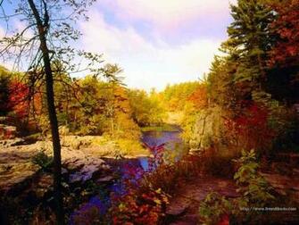 Windows Xp Autumn Wallpaper Weddingdressin