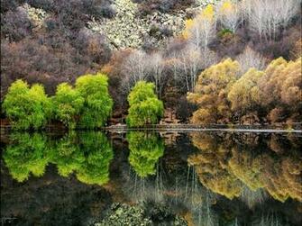 Amaze Pics Vids Beautiful Nature Desktop Wallpaper