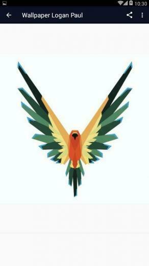 Maverick Logan Paul Wallpaper HD For Android Apk