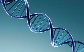 3d Dna Wallpaper High Quality