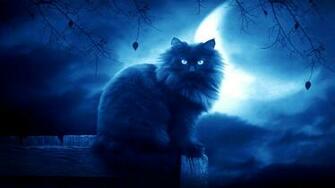 HD Wallppaers Animal Wallpaper 1080p