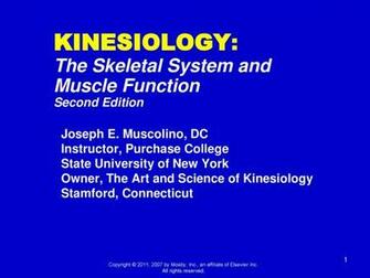 Kinesiology The Skeletal System And Muscle Function Ppt
