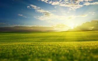 On A Spring Field Wallpaper And Image Pictures Photos