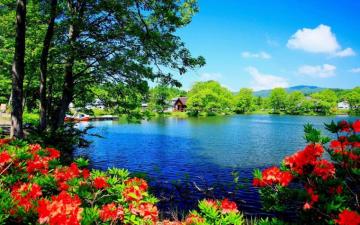 Scenery Wallpaper On