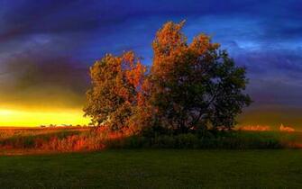 Autumn Sunset