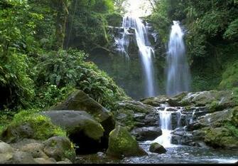 Tropical Waterfall Wallpaper Nature 3d For Desktop