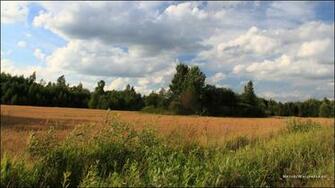 Wallpaper Sunny Day Landscape Background