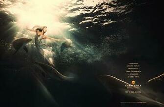 Shangri La Dolphins Wallpaper