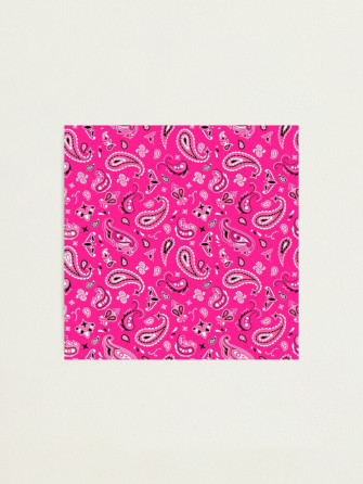 Pink Bandana Photographic Print By Studio More Los