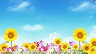 Summer Flowers Wallpaper Related Keywords Amp Suggestions