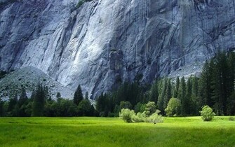 Wallpaper Ever The Above Is Best Nature