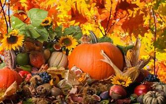 Autumn Harvest Vegetables Fruits Wallpaper