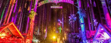Electric Forest Festival En Rothbury Michigan United States