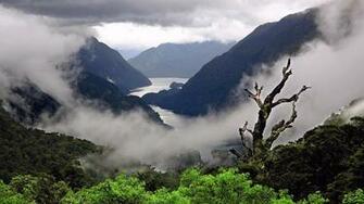Misty Mountains Wallpaper